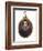 'Sir Francis Drake', c1580-1610, (1903)-Unknown-Framed Giclee Print