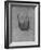 'Sir George Carew', c1532-1543 (1945)-Hans Holbein the Younger-Framed Giclee Print