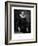 Sir Henry Wotton, English Author and Diplomat-W Holl-Framed Giclee Print