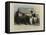 Sir, I Was Stolen a 100-Francs Bank Note-Honore Daumier-Framed Premier Image Canvas