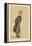 Sir James Taylor Ingham-Sir Leslie Ward-Framed Premier Image Canvas