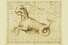 Monoceros Canis Major and Minor Navis Lepus-Sir John Flamsteed-Art Print