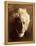 Sir John Herschel, 1867-Julia Margaret Cameron-Framed Premier Image Canvas