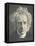 Sir John Herschel-Julia Margaret Cameron-Framed Premier Image Canvas