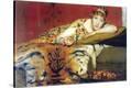 Stretched Canvas Print