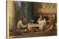 Stretched Canvas Print