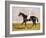 Sir Mark Wood's Racehorse 'Lucetta' with J. Robinson Up-John Frederick Herring I-Framed Giclee Print