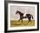 Sir Mark Wood's Racehorse 'Lucetta' with J. Robinson Up-John Frederick Herring I-Framed Giclee Print