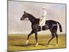 Sir Mark Wood's Racehorse 'Lucetta' with J. Robinson Up-John Frederick Herring I-Mounted Giclee Print