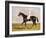 Sir Mark Wood's Racehorse 'Lucetta' with J. Robinson Up-John Frederick Herring I-Framed Giclee Print