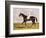 Sir Mark Wood's Racehorse 'Lucetta' with J. Robinson Up-John Frederick Herring I-Framed Giclee Print