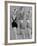 Sir Paul Duke on the Bbc TV Show, "Laughter and Life" Showing Yoga Exercises-null-Framed Photographic Print