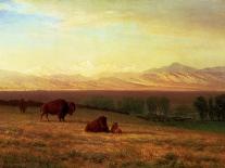 Buffalo on the Plains, Circa 1890-Sir William Beechey-Giclee Print