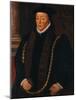 Sir William Garrard, Lord Mayor 1555, C1568-null-Mounted Giclee Print
