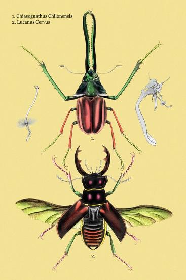 Art Print, , large