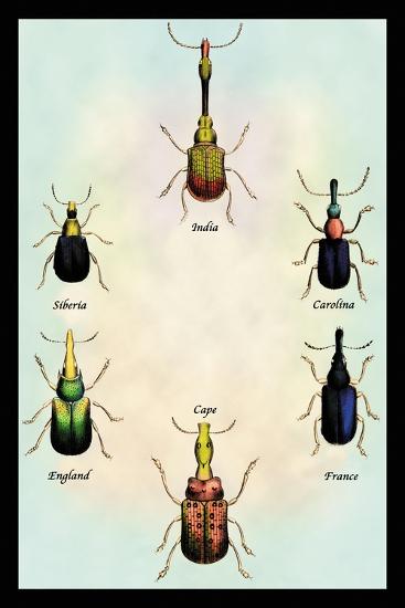 Art Print, , large