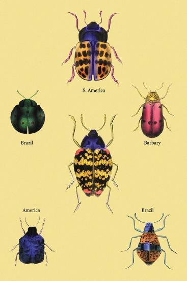 Art Print, , large