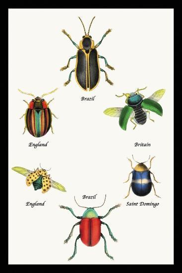 Art Print, , large