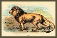 Lion-Sir William Jardine-Art Print