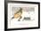 Sir William Watson (1858-193), English Poet, 1904-Max Beerbohm-Framed Giclee Print