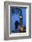 Sir Winston Churchill Statue and Big Ben, Parliament Square, Westminster, London, England-James Emmerson-Framed Photographic Print