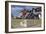 Sir Winston Churchill Statue, Westerham, Kent-Peter Thompson-Framed Photographic Print