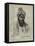 Sirdar Abdul Khalik Khan, Chief of Bezoot-William 'Crimea' Simpson-Framed Premier Image Canvas