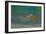 Sirene-Mermaid,1895-Louis-Maurice Boutet De Monvel-Framed Giclee Print