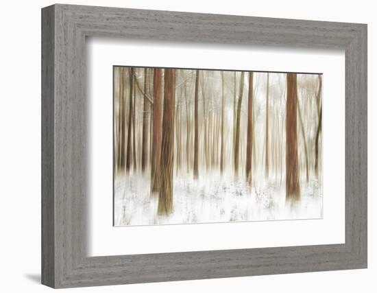 Sis-Viviane Fedieu Daniel-Framed Photographic Print