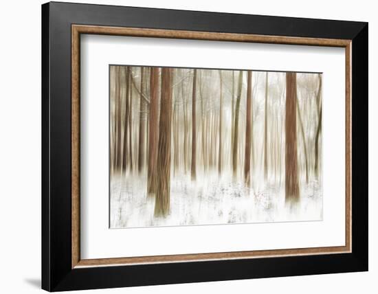 Sis-Viviane Fedieu Daniel-Framed Photographic Print