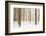 Sis-Viviane Fedieu Daniel-Framed Photographic Print