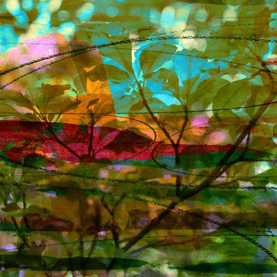 Photographic Print, , large