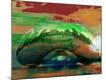 Premium Photographic Print