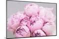 Premium Photographic Print