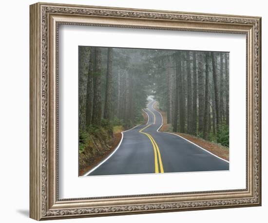 Sisiyou National Forest Oregon, USA-Charles Gurche-Framed Photographic Print