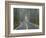 Sisiyou National Forest Oregon, USA-Charles Gurche-Framed Photographic Print