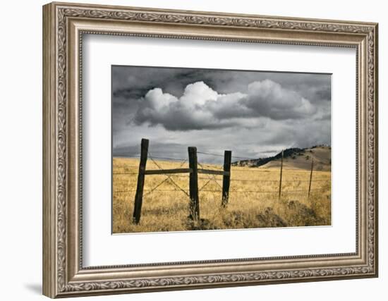 Siskiyou County Landscape-David Winston-Framed Giclee Print