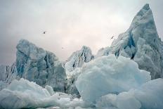Icebergs in the Arctic Sea around Spitsbergen Island, Norway., 2022 (Photo)-Sisse Brimberg-Giclee Print