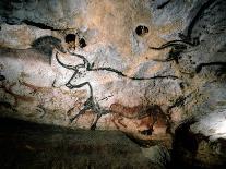 Paleolithic Art of Bulls, Deer, and Horses on Calcite Cave Walls, Lascaux, France., 2022 (Photo)-Sisse Brimberg-Giclee Print