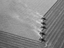 Silvery Steppe Grass Bends to the Wind in Tuva's Grasslands., 2003 (Photo)-Sisse Brimberg-Giclee Print