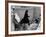 Sister Jacqueline Grennan, Executive Vice President of Webster College-Alfred Eisenstaedt-Framed Photographic Print