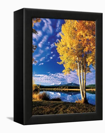 Sisters in Autumn II-Ike Leahy-Framed Premier Image Canvas