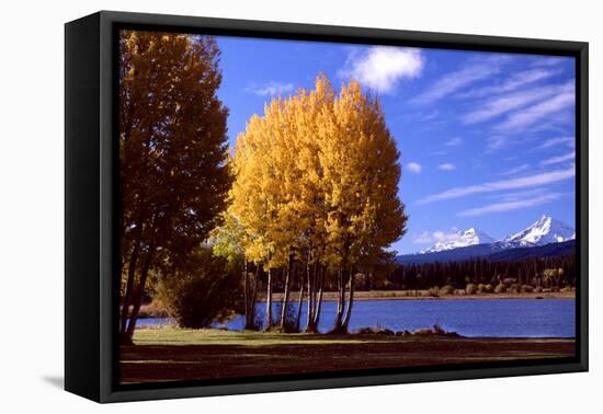 Sisters in Autumn III-Ike Leahy-Framed Premier Image Canvas