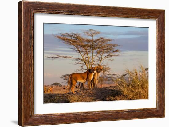 Sisters-Alessandro Catta-Framed Photographic Print