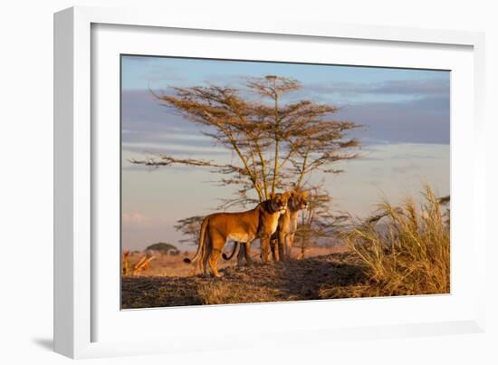 Sisters-Alessandro Catta-Framed Photographic Print