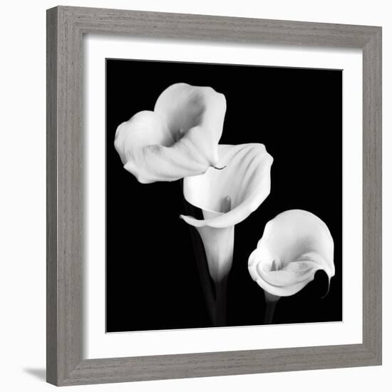 Sisters-Michael Faragher-Framed Art Print