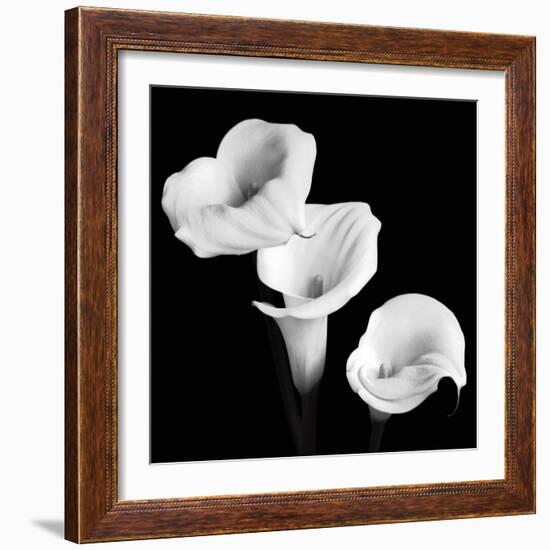 Sisters-Michael Faragher-Framed Art Print