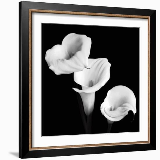 Sisters-Michael Faragher-Framed Art Print