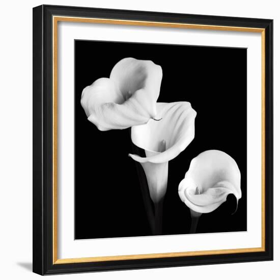 Sisters-Michael Faragher-Framed Art Print