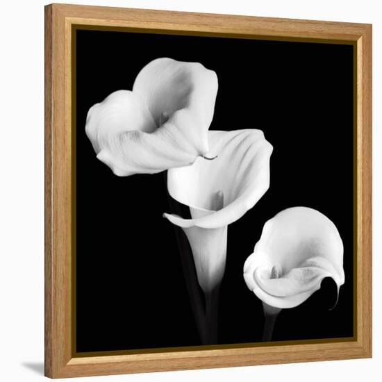 Sisters-Michael Faragher-Framed Stretched Canvas